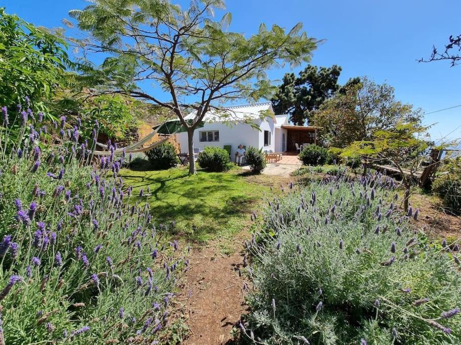 הוילה טיחראפה Casa Aram Lapalmahouse מראה חיצוני תמונה